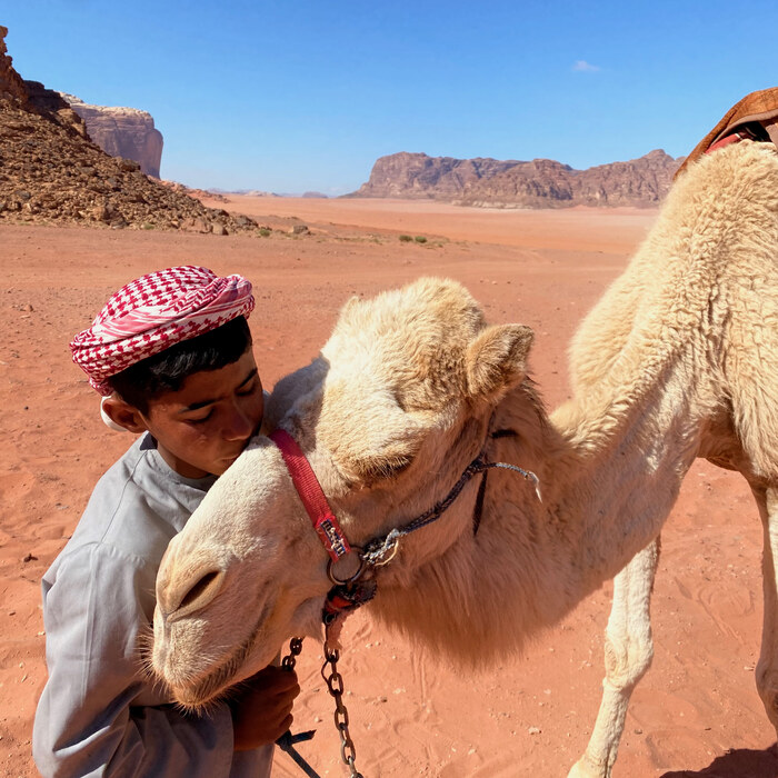 A camel and its handler walking through a red desert canyon